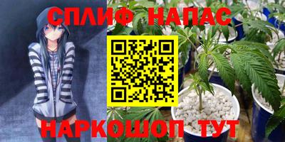 прущие грибы Пыть-Ях