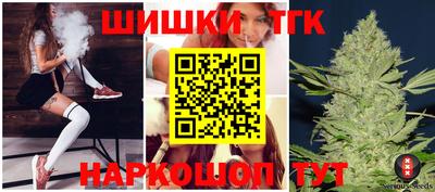 СК Пугачёв