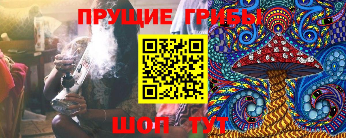 Галлюциногенные грибы прущие грибы Ртищево