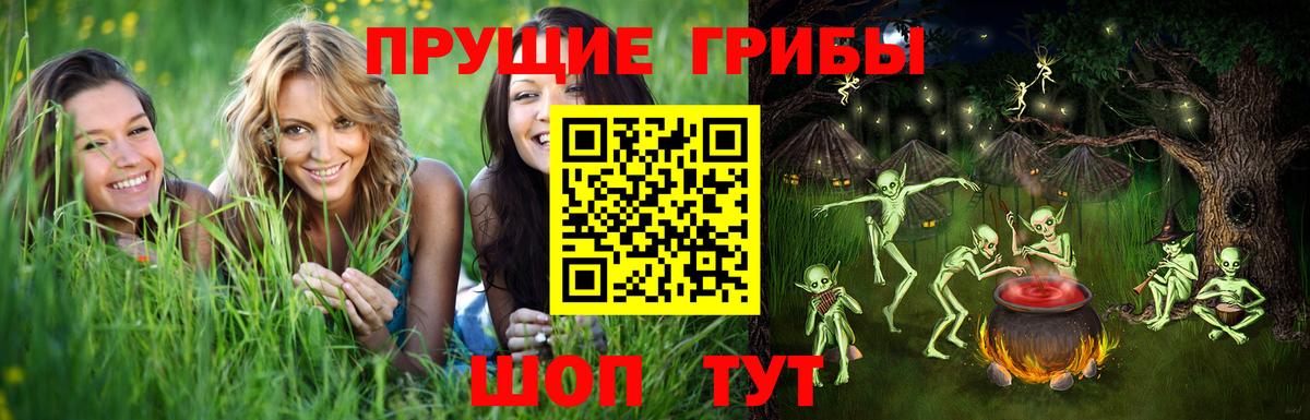 Галлюциногенные грибы Cubensis  Вход с VPN  Ртищево  Псилоцибиновые грибы Cubensis 